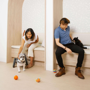 Members with their pets in the lounge area.