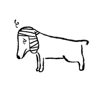 Sketch of dog with bandaged ear