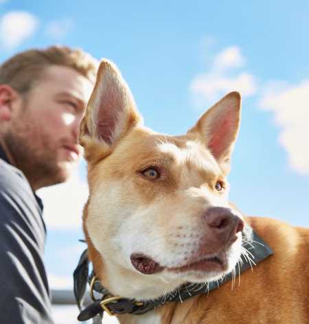 Man sitting with dog