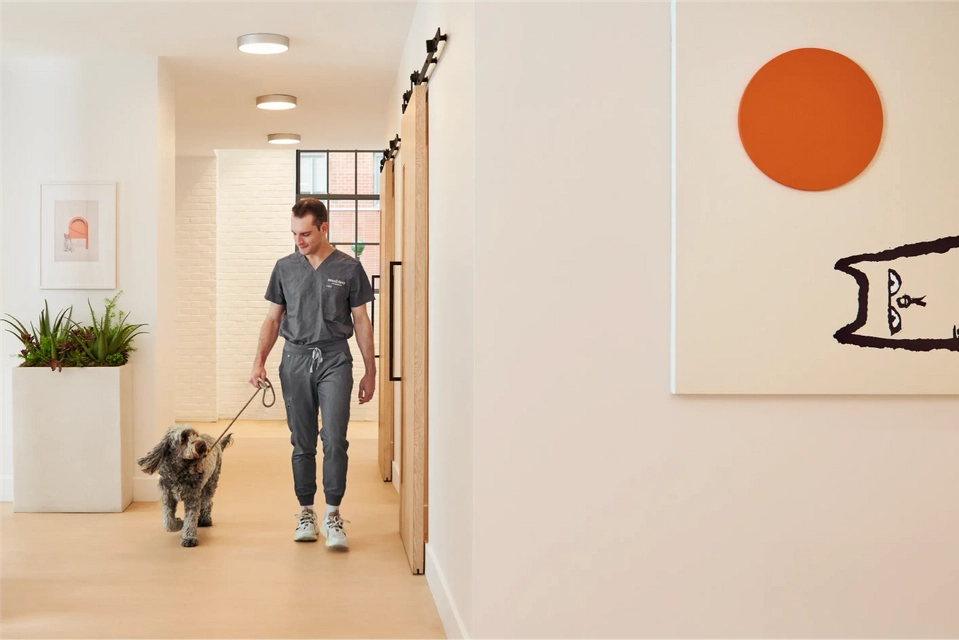 Vet nurse walking with dog in hallway.
