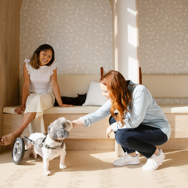 Two woman and a dog waiting in the lounge room.